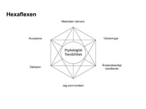 ACT - Hexaflexen